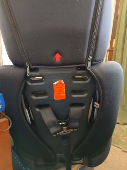 Photo of free Chil car seat (West Hill TN34) #2