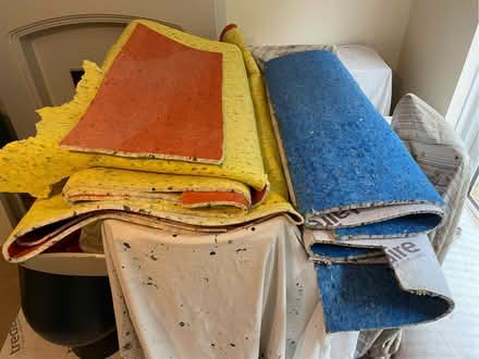 Photo of free Carpet underlay (Horsforth LS18) #1