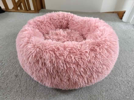 Photo of free Fluffy cat bed (Pendeen TR19) #1