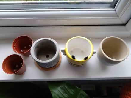 Photo of free Small plant pots x3 (Ross-on-wye) #2