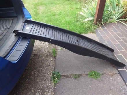 Photo of free Dog ramp (Fords Farm RG31) #1