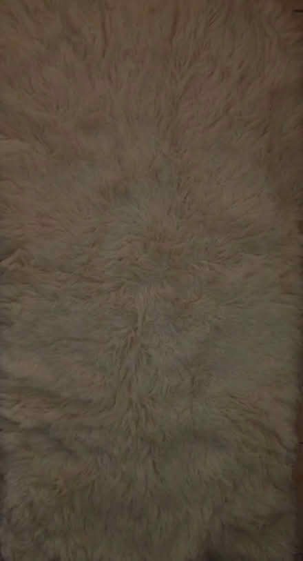 Photo of free White rug (Horsell GU21) #1