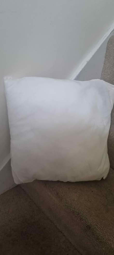 Photo of free Small cushion inner padding (BS5) #1