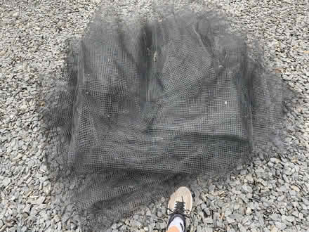 Photo of free Garden netting (Old Hutton LA8) #3