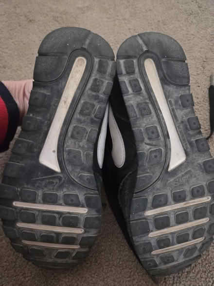 Photo of free Trainers size 3 (Lightwood ST3) #2