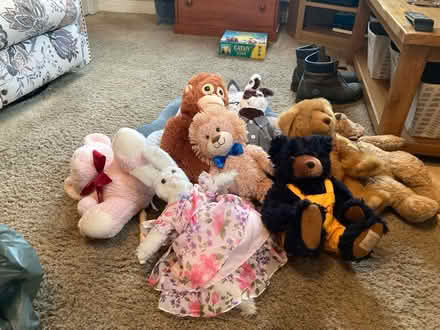 Photo of free Selection of soft toys (Clayton le Woods PR6) #1
