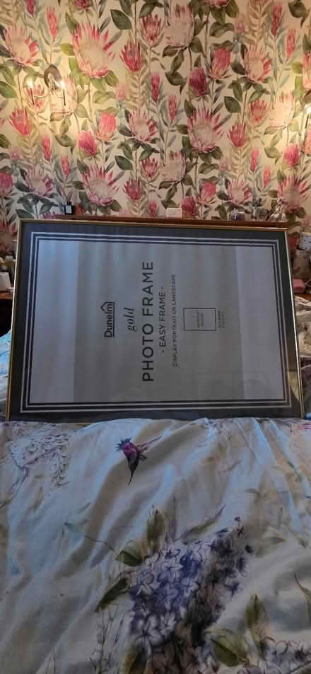 Photo of free Dunhelm gold clip frames 70 x 50cm (Darwen BB3) #1