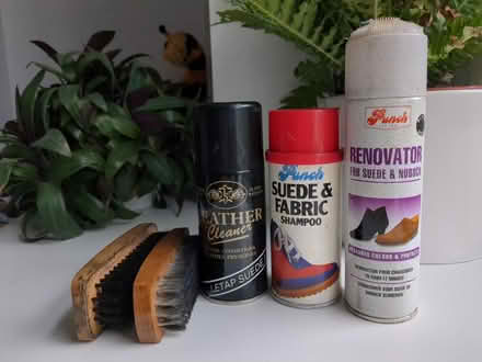 Photo of free Shoe cleaner and brushes (Harringay Ladder N8) #1