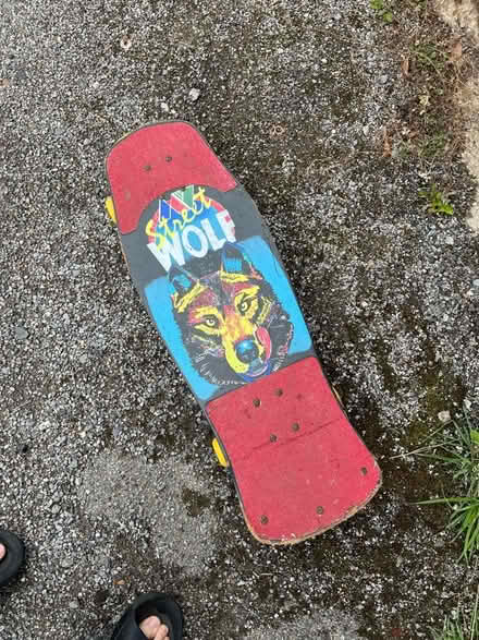 Photo of free Street Wolf Skateboard (Sydenham SE26) #2