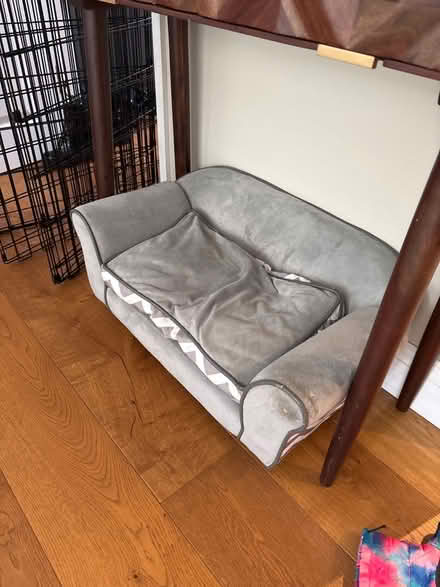 Photo of free Puppy bed/sofa (Tufnell Park N7) #2