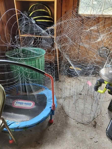 Photo of free Wire plant protectors (Granby, MA) #2