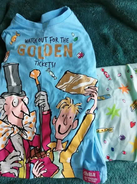 Photo of free Pyjamas age 3/4 (Worcester) #1