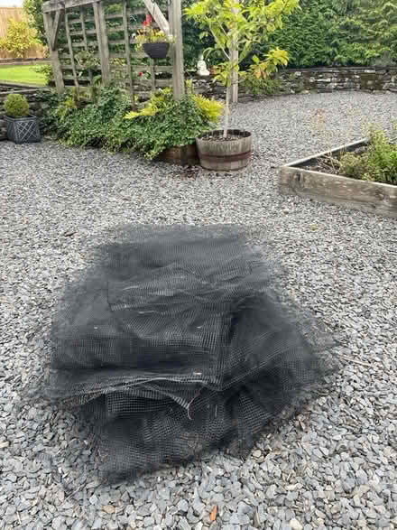 Photo of free Garden netting (Old Hutton LA8) #1