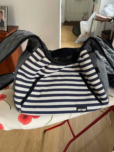 Photo of free Puppy carrier (Steyning High Street) #1