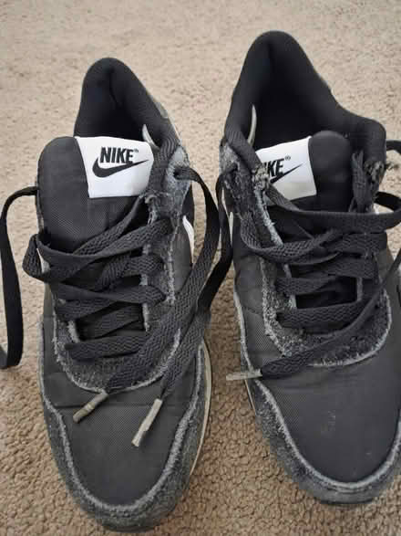 Photo of free Trainers size 3 (Lightwood ST3) #1