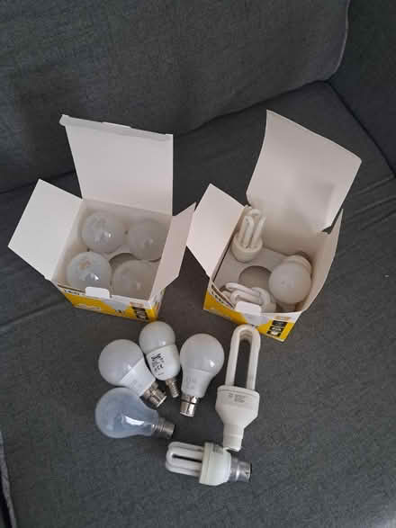 Photo of free Various light bulbs - all working (Montpelier BS6) #1