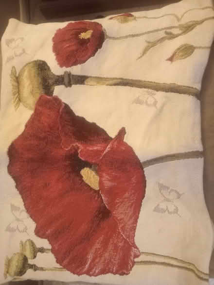 Photo of free Cushion cover. Poppy design with fawn velvet on other side. (Kennington OX1) #1