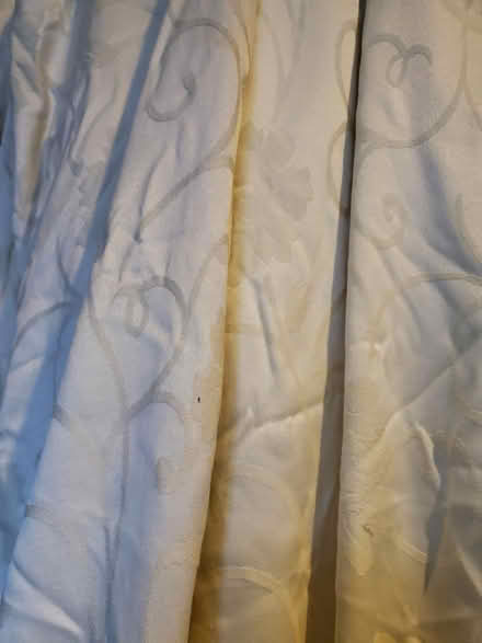 Photo of free Curtains (Splott CF24) #1