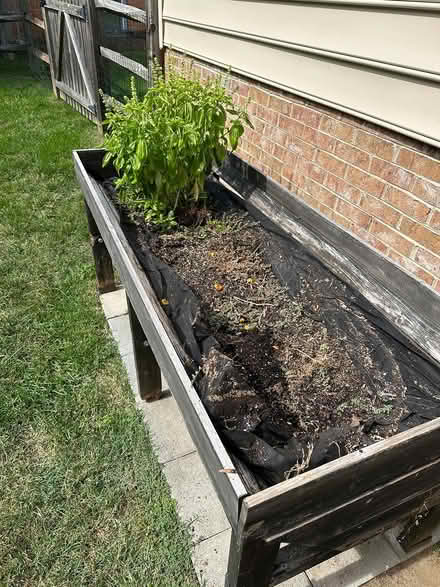Photo of free Vegtrug planter (Heritage Harbor area) #2