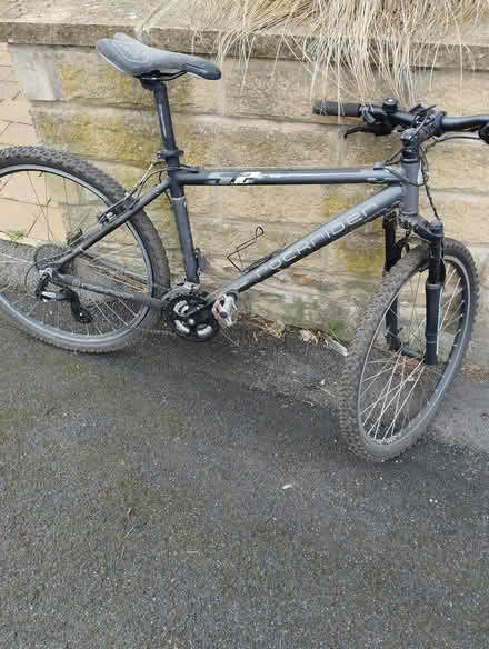 Photo of free Adult bicycle (Walkley S6) #1