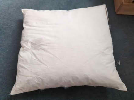 Photo of free Cushion pad(no cover) (Stretford) #1