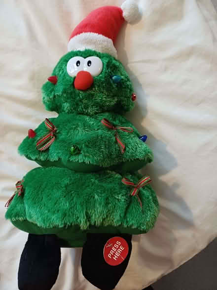 Photo of free Musical Christmas tree. (Eccleshill BD2) #1