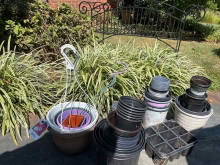 Photo of free lots of plastic pots (NW DC nr Silver Spring) #1