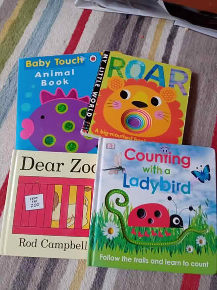 Photo of free 4 x board books (Corsham SN13) #1