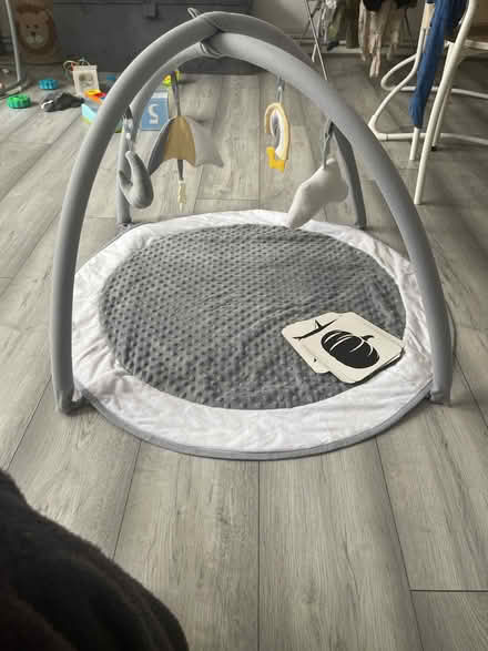 Photo of free Baby play mat and picture cards (Manor Park E12) #1