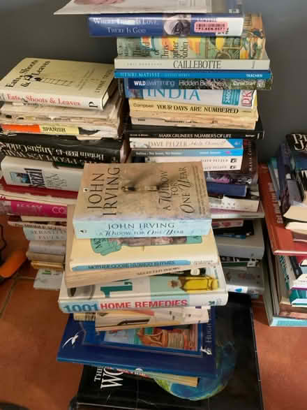 Photo of free loads of books etc collection Wick (Wick BS30) #1