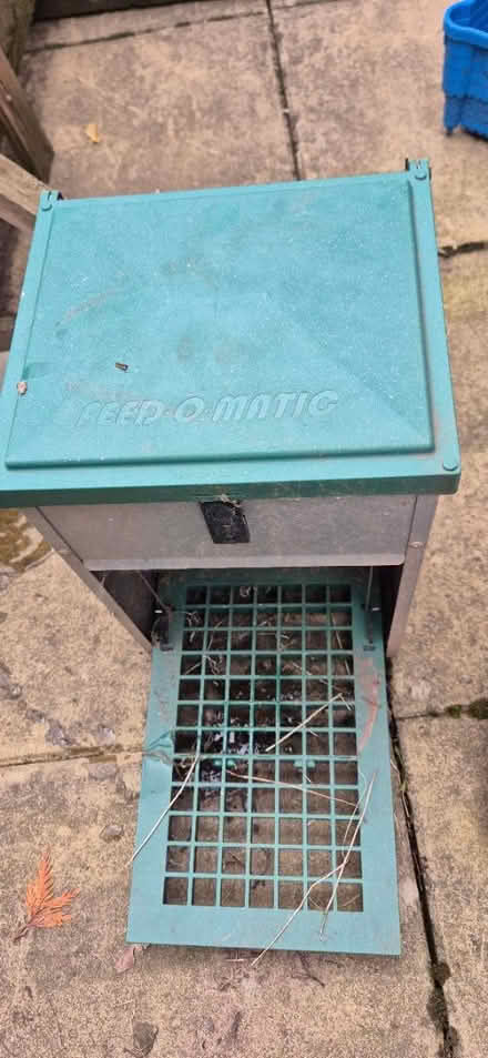 Photo of free Chicken feeders (DY9) #1