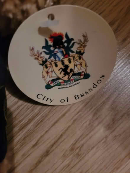 Photo of free Small Teddy Bear (Fareham PO15) #2