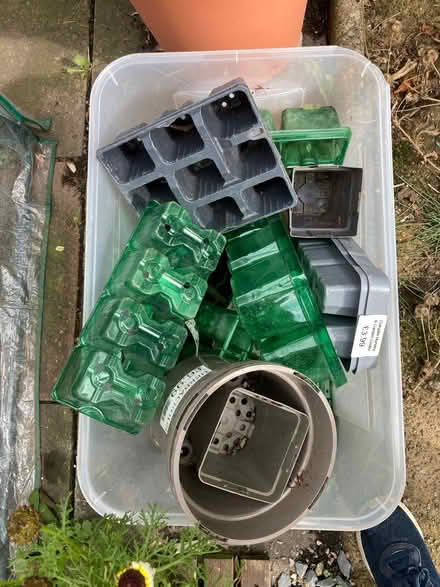 Photo of free Plastic plant pots / trays (Ifton Heath SY11) #1