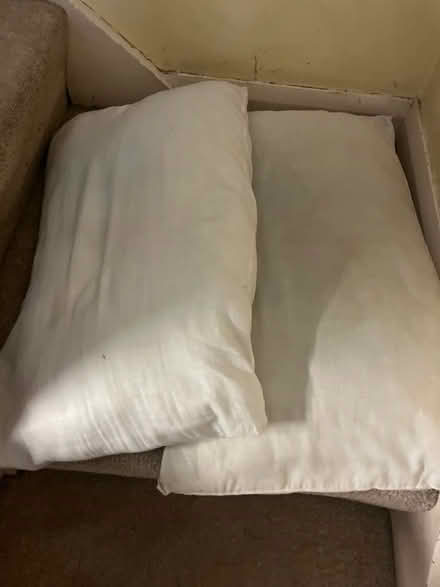 Photo of free Two pillows (Stretford M32) #1