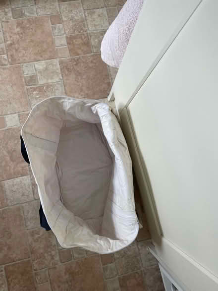 Photo of free Big zip cool bag (Lindfield RH16) #2