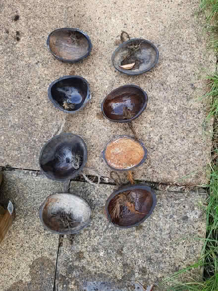 Photo of free Coconut Shells (North Abingdon, OX14) #1