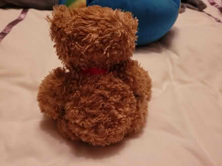 Photo of free Teddy Bear (Fareham PO15) #2