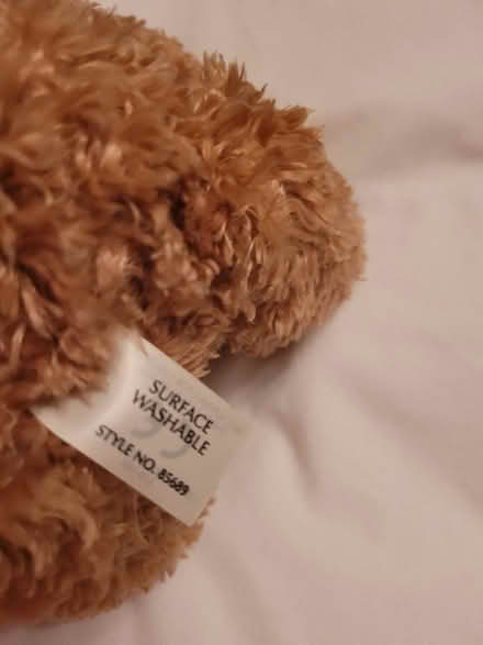 Photo of free Teddy Bear (Fareham PO15) #3