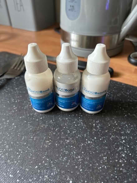 Photo of free Ghost bond (Arbourthorne S2) #1