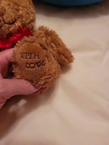 Photo of free Teddy Bear (Fareham PO15) #4