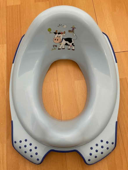 Photo of free Child’s potty and toilet seat (East Grinstead RH19) #3