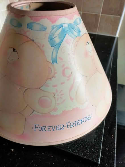 Photo of free Lamp shade (Oswestry) #2