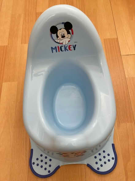 Photo of free Child’s potty and toilet seat (East Grinstead RH19) #2