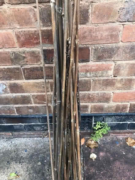Photo of free Bamboo Sticks (Leamington Spa (CV32)) #2