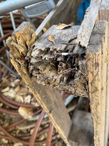 Photo of free Pallet (DT North palo alto) #2