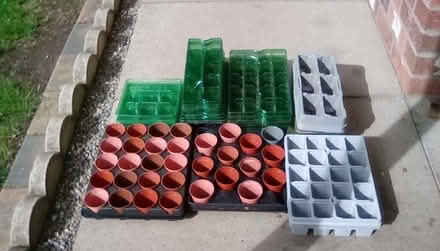 Photo of free Potting on trays and small seedling pots (Priorslee TF2) #1