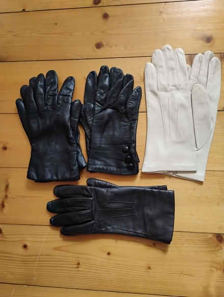 Photo of free Ladies leather gloves (Seafield EH7) #1