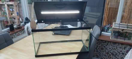 Photo of free Leaking Fish Tank (Strood (ME2)) #1