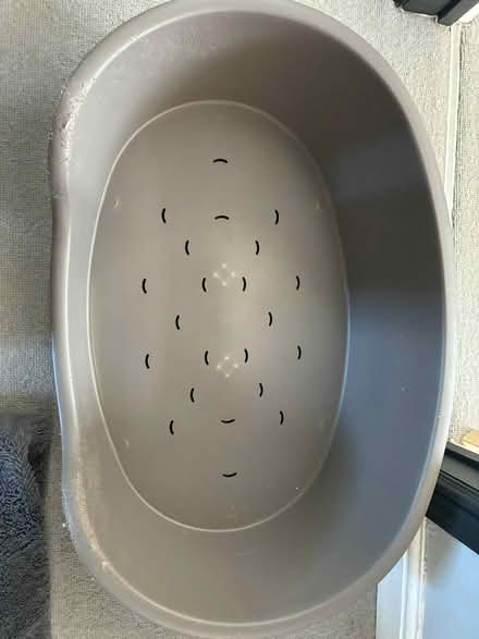 Photo of free Dog bed (Old heath road CO2) #1