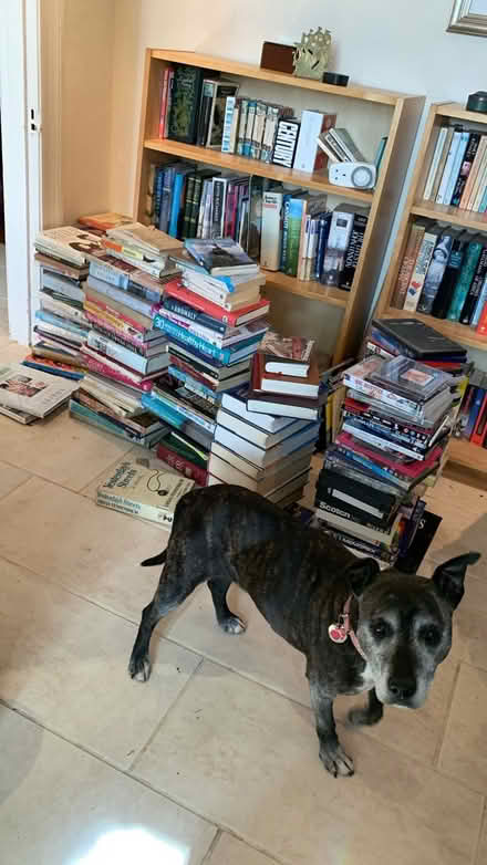 Photo of free loads of books etc collection Wick (Wick BS30) #2